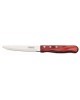 Nóż do steków Jumbo 252 mm, czerwony | TRAMONTINA